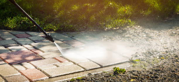 Best Fence Cleaning  in Spicer, MN